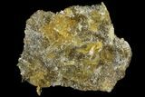Selenite Crystal Cluster (Fluorescent) - Peru #94624-2